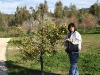 Orange Picking