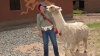 Jeanne and the Llama, Cusco