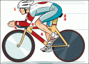 cycling-fitness-2.gif