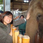 Touching the Elephant