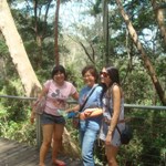 Blue Mountains Nature Walk